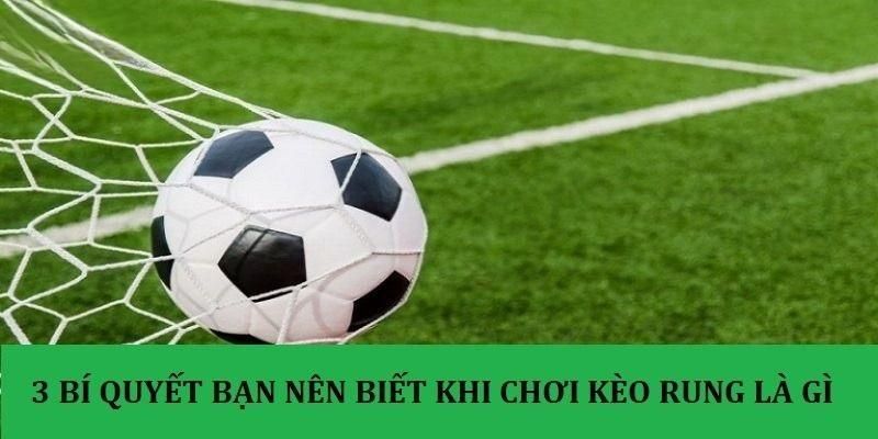 Bật mí kinh nghiệm soi kèo rung săn khoản thưởng lớn