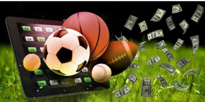 Khám phá kho kèo Livescore cược hấp dẫn